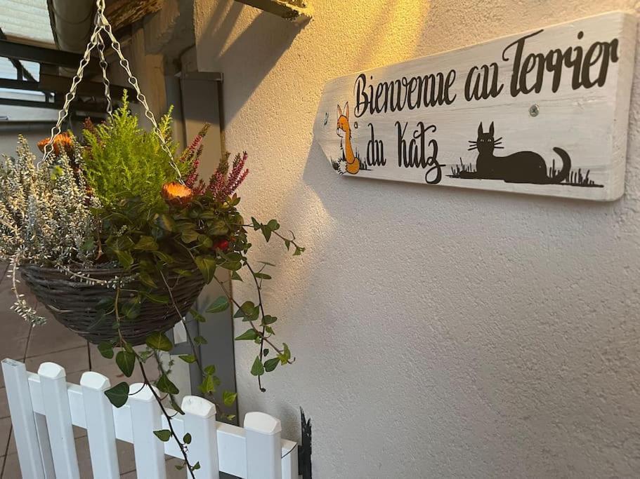 Appartement Le Terrier Du Katz à Dabo Extérieur photo
