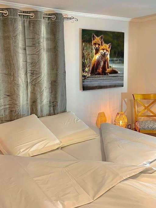 Appartement Le Terrier Du Katz à Dabo Extérieur photo
